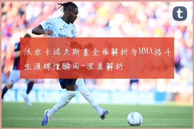 沃尔卡诺夫斯基全面解析与MMA格斗生涯辉煌瞬间-深度解析