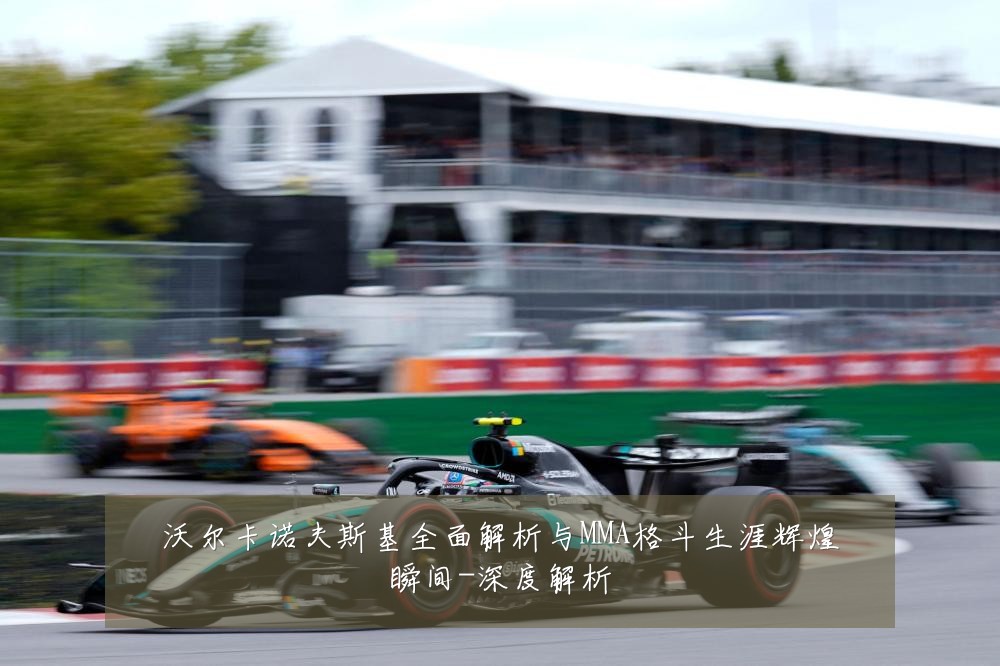 沃尔卡诺夫斯基全面解析与MMA格斗生涯辉煌瞬间-深度解析